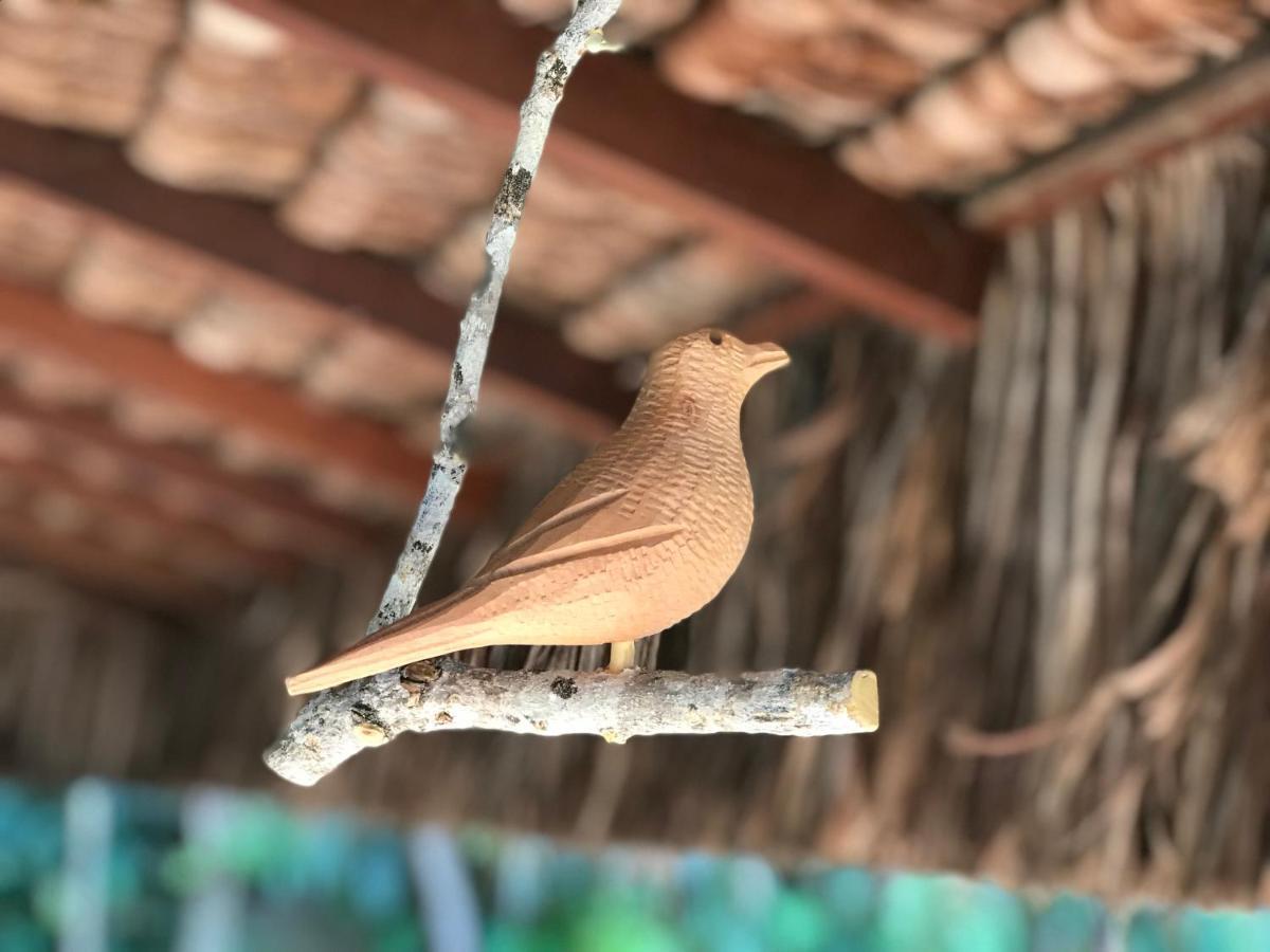 Bangalo Dos Sonhos Διαμέρισμα Morro de São Paulo Εξωτερικό φωτογραφία